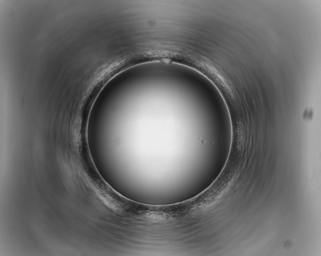 X0000099450490200805091509