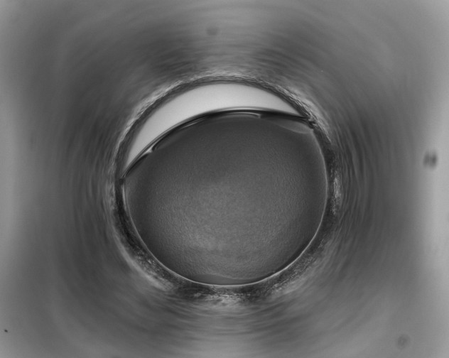 X0000099450492200805091509