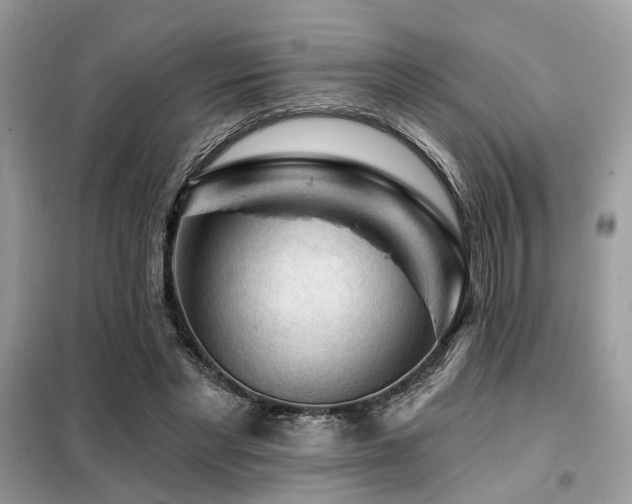 X0000099450493200805091509