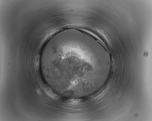 X0000099450495200805091509
