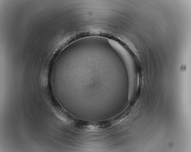 X0000099450496200805091509