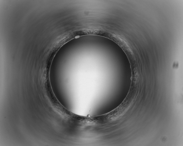 X0000099450498200805091509