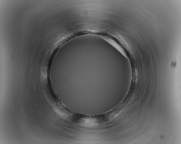 X0000099450500200805091509