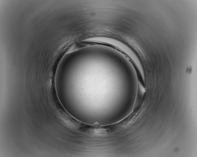 X0000099450501200805091509