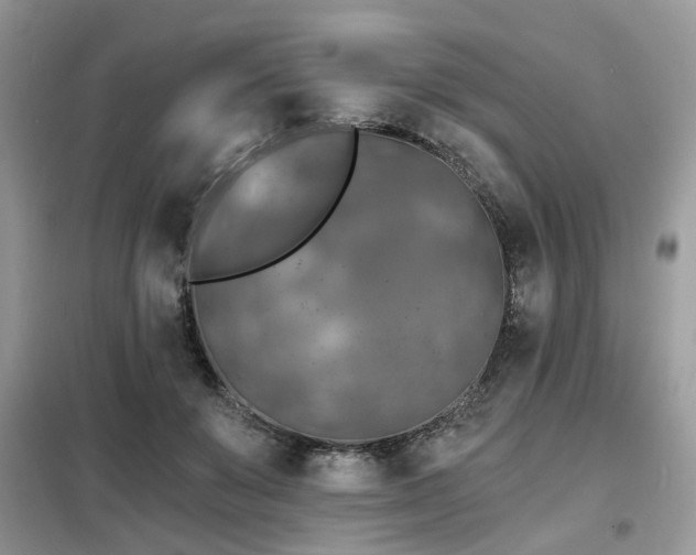 X0000099450503200805091508