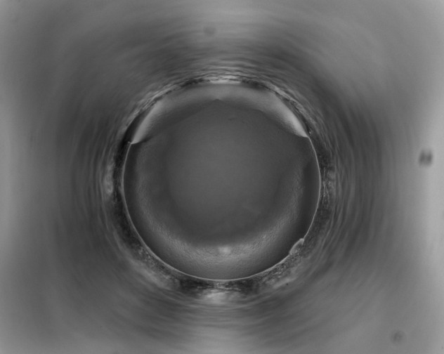 X0000099450504200805091508