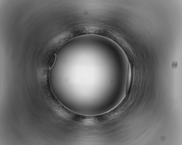 X0000099450505200805091508