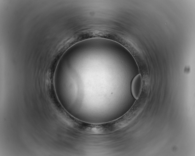 X0000099450506200805091508
