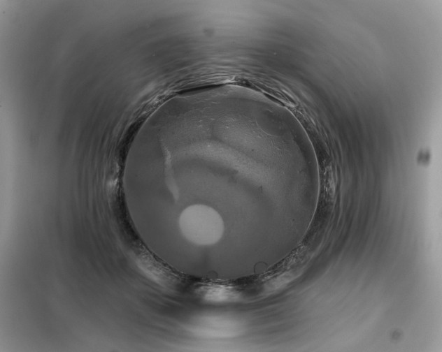 X0000099450507200805091508