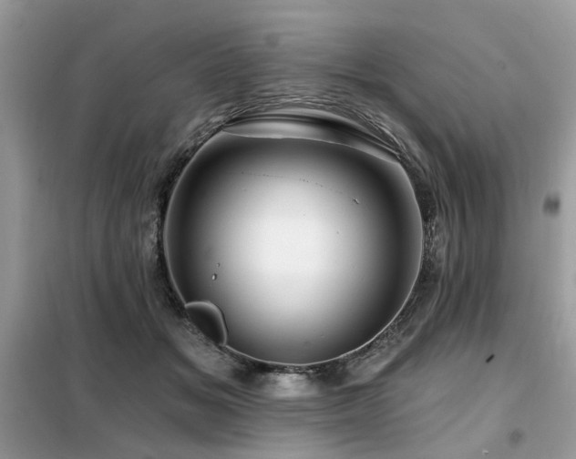 X0000099450509200805091508