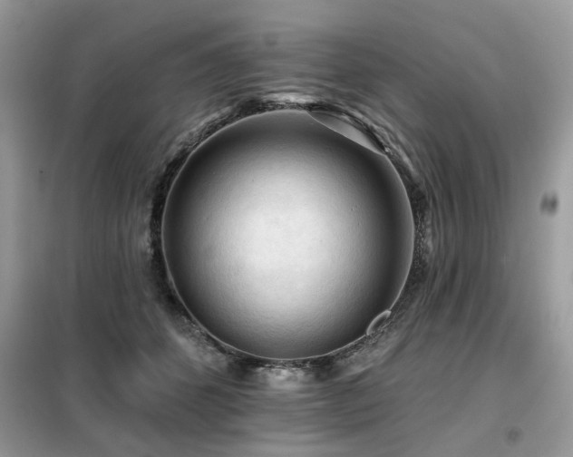 X0000099450512200805091508