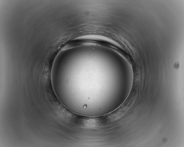 X0000099450513200805091508