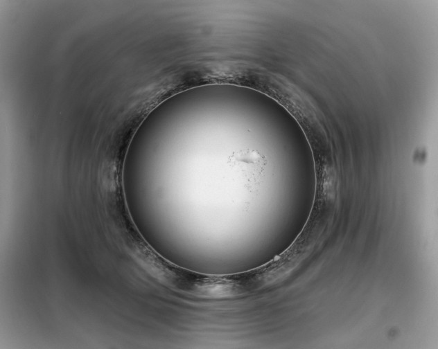 X0000099450514200805091508