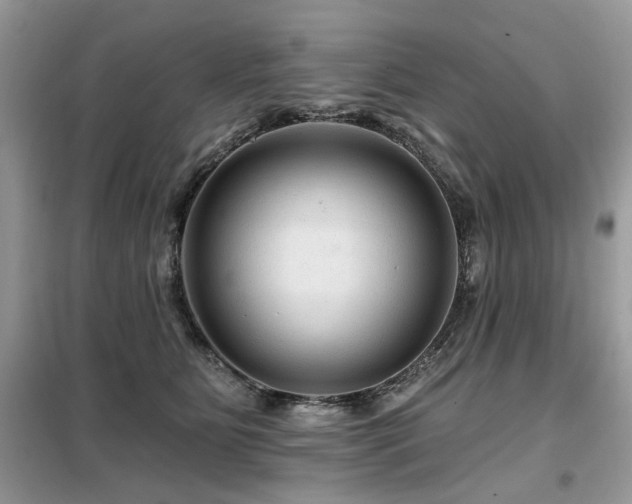 X0000099450515200805091508