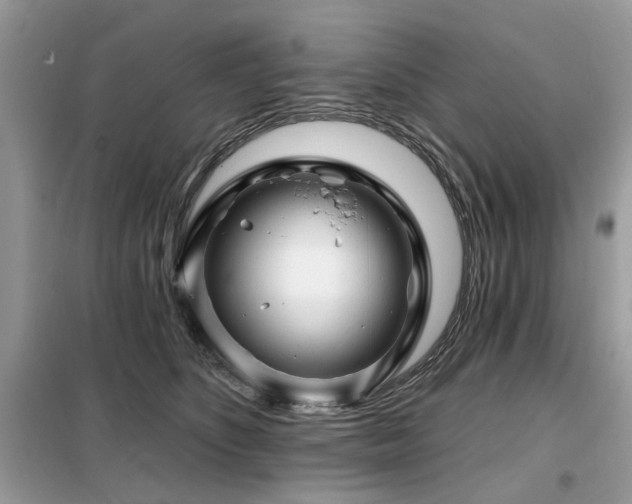 X0000099450516200805091508