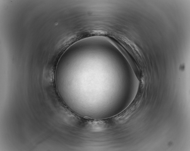 X0000099450517200805091508