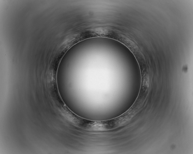 X0000099450518200805091508
