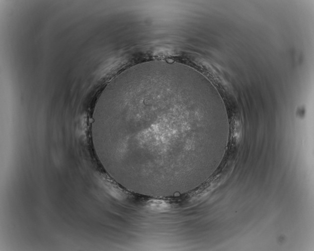 X0000099450519200805091508