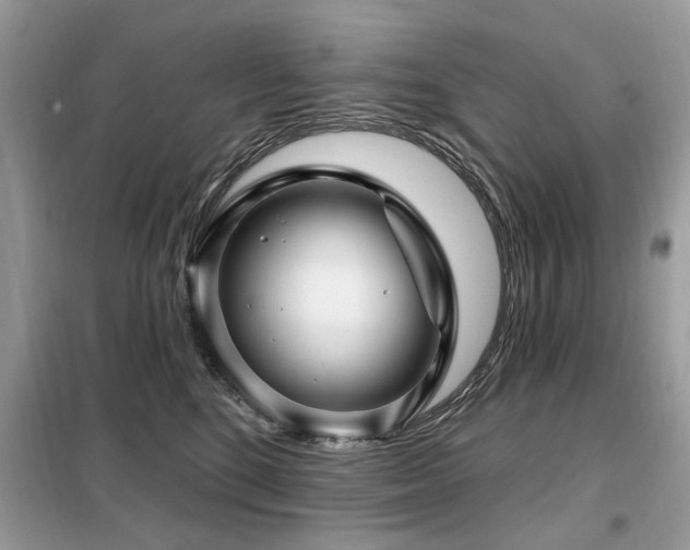 X0000099450520200805091508