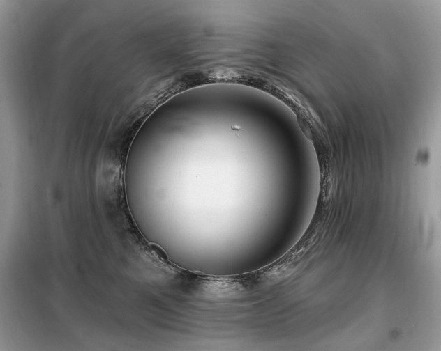 X0000099450521200805091508