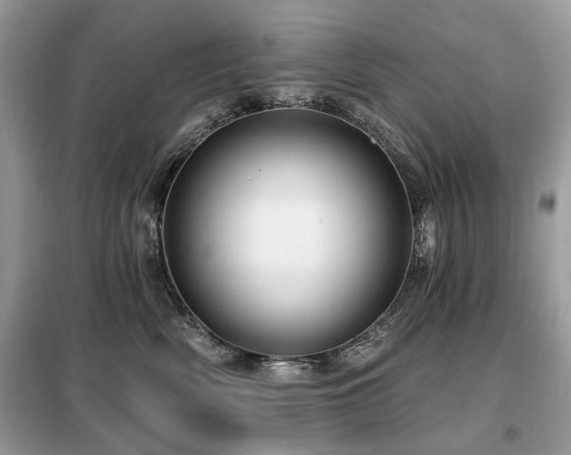 X0000099450522200805091508