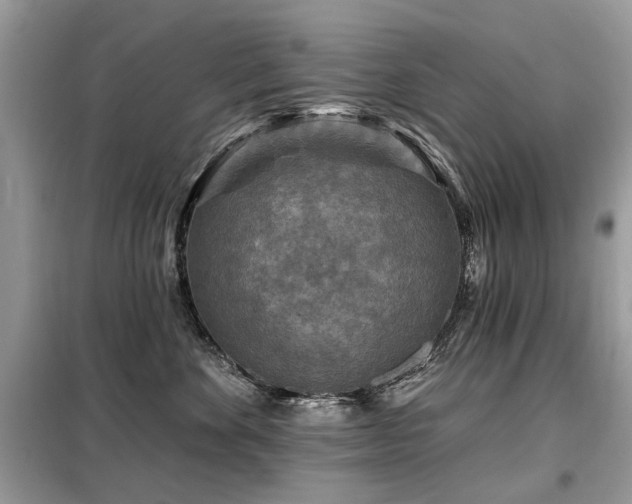 X0000099450524200805091508