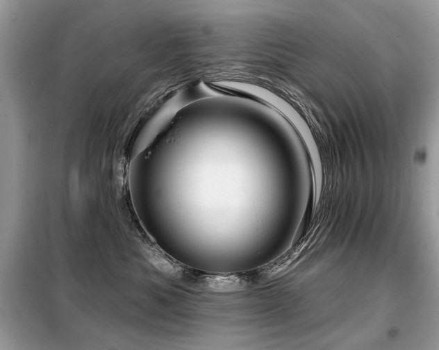 X0000099450525200805091508