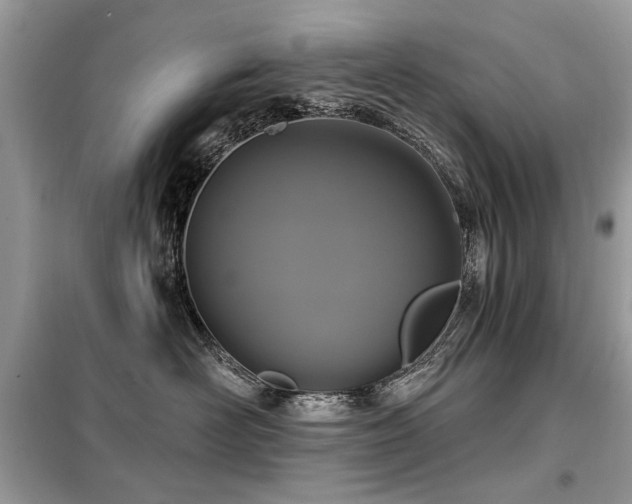 X0000099450526200805091508