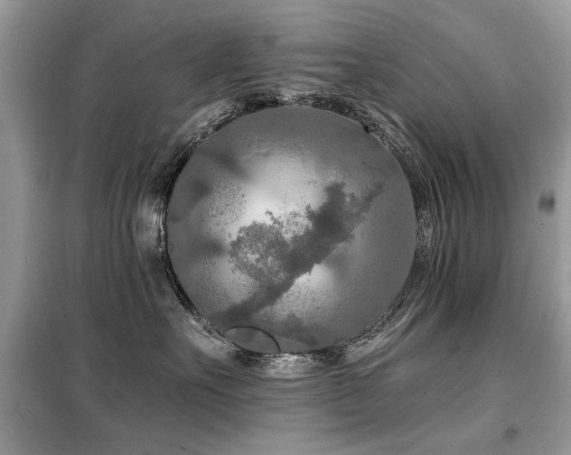 X0000099450527200805091508