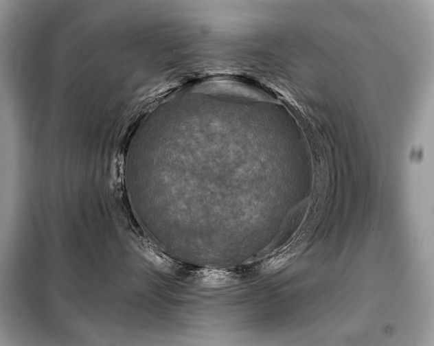 X0000099450528200805091508
