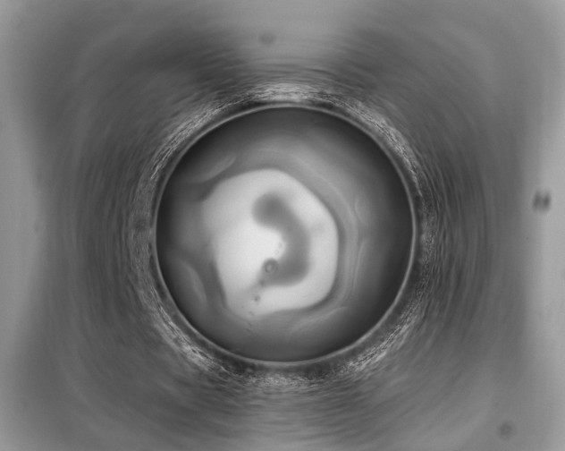 X0000099450529200805091507