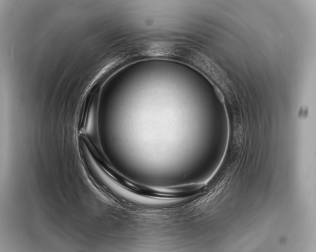 X0000099450530200805091507