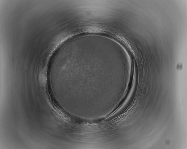 X0000099450531200805091507