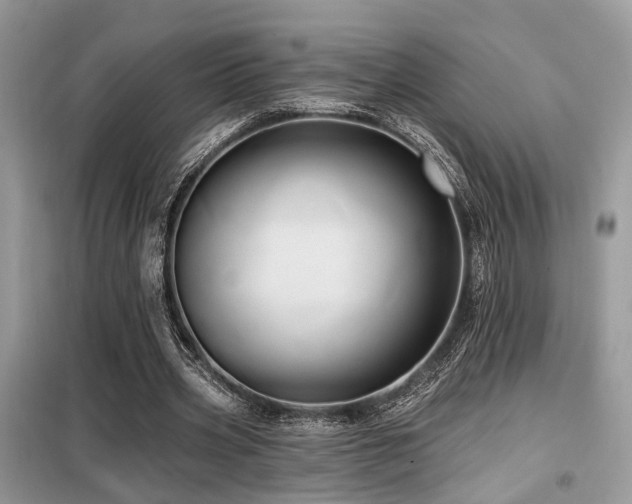 X0000099450533200805091508