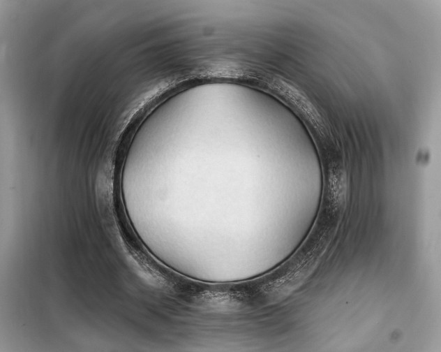 X0000099450534200805091508
