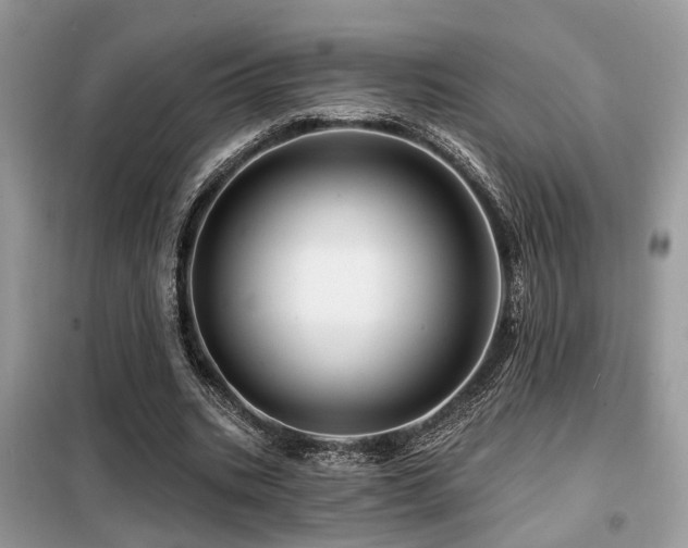 X0000099450535200805091508