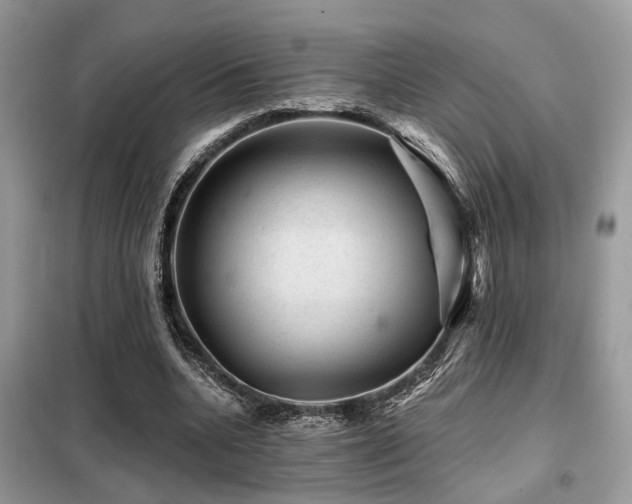 X0000099450536200805091508