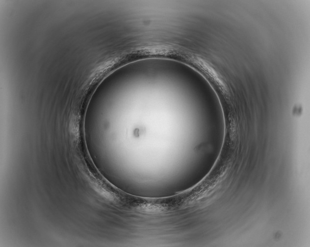 X0000099450537200805091508