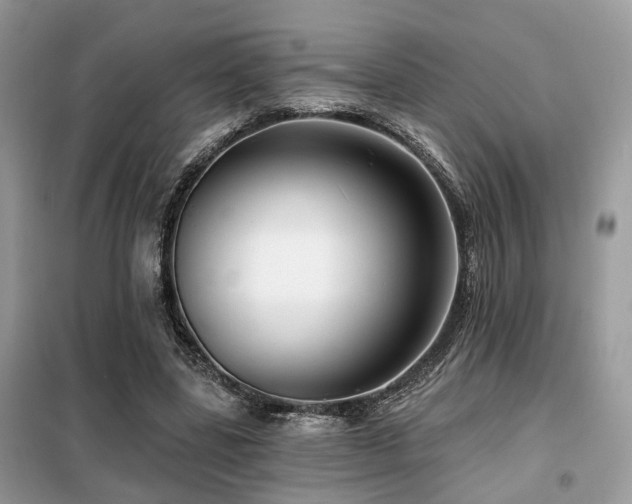 X0000099450539200805091508