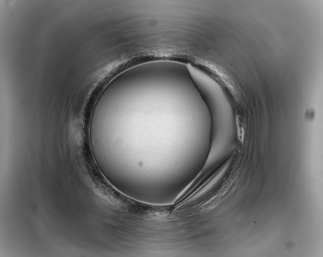X0000099450540200805091508