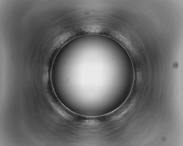 X0000099450541200805091508