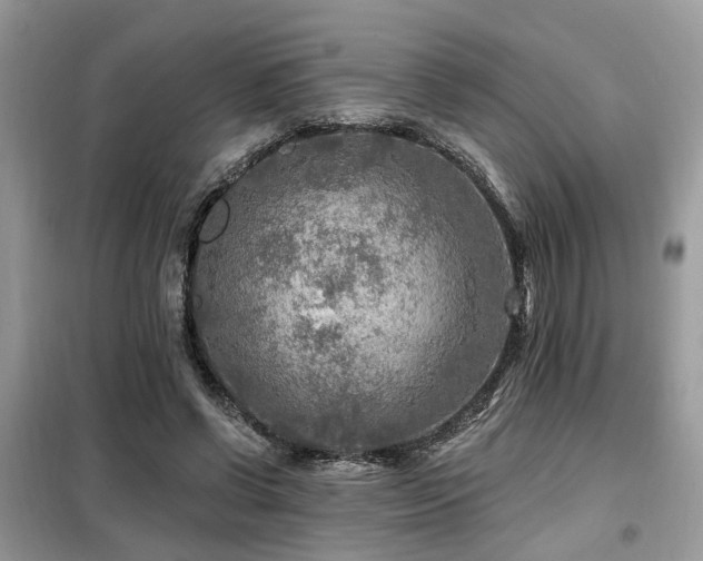 X0000099450542200805091508