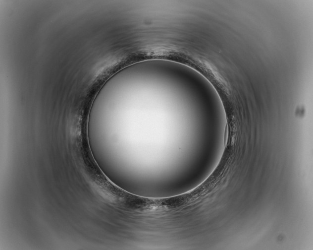 X0000099450543200805091508