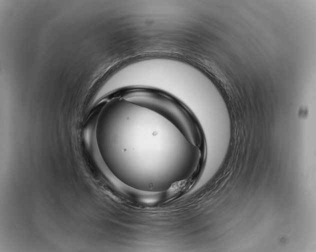 X0000099450544200805091508