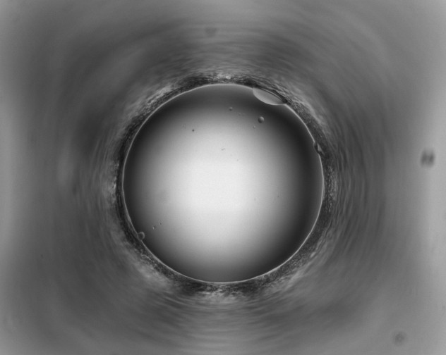 X0000099450545200805091508
