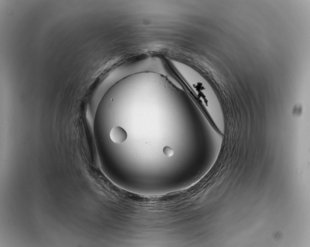 X0000099450546200805091508