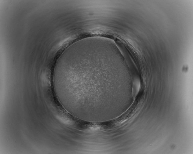 X0000099450547200805091508