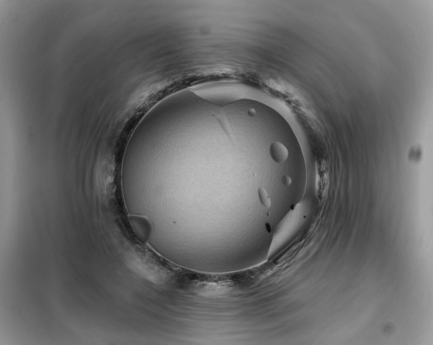 X0000099450548200805091508