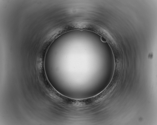 X0000099450549200805091508