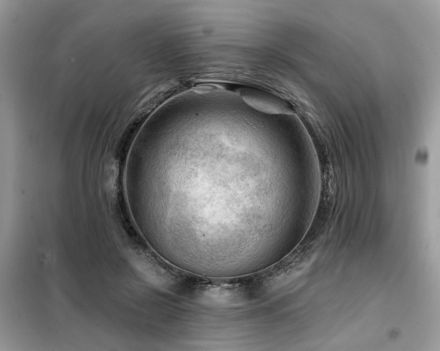 X0000099450550200805091508